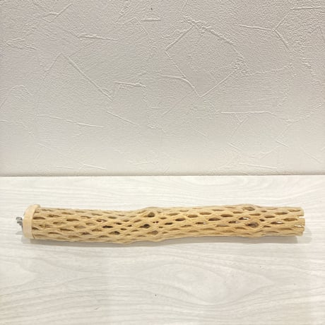 カクタスパーチ小㉘ 直径約3~4cm 長さ30cm