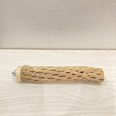 カクタスパーチ小㉖ 直径約3~4cm 長さ20cm