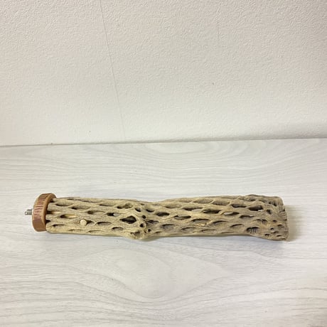 【小型用】カクタスパーチ⑤ 極小　直径2-3cm／長さ19cm