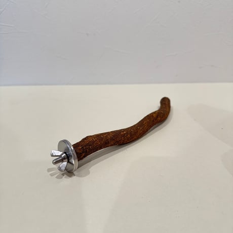 自然木（ツタ）パーチ 直径約1.5cm/長さ19cm
