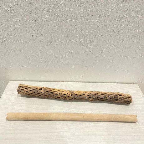 【あやおっさん様専用】カクタスパーチ 小サイズ43.8cm