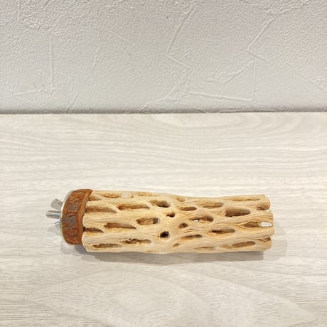 カクタスパーチ③  極小 直径3cm前後 長さ10cm