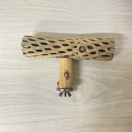 カクタスのT字パーチ③ HOEI465サイズ