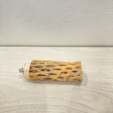 カクタスパーチ小④ 直径約3~4cm 長さ10cm