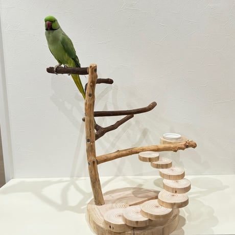 自然木（ツタ・貝塚伊吹・杉）と螺旋階段のバードアスレチック【インコのおもちゃ・自然木のとまり木】