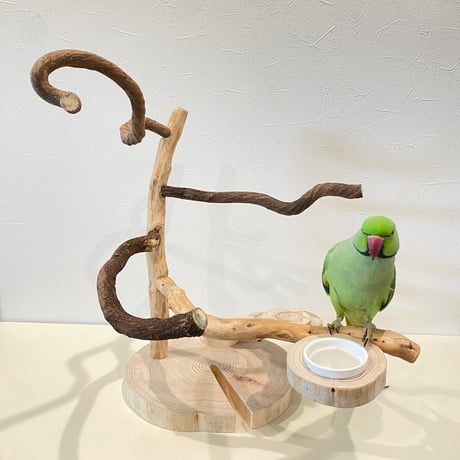 自然木（ツタ・貝塚伊吹）と螺旋階段のバードアスレチック【インコのおもちゃ・自然木のとまり木】