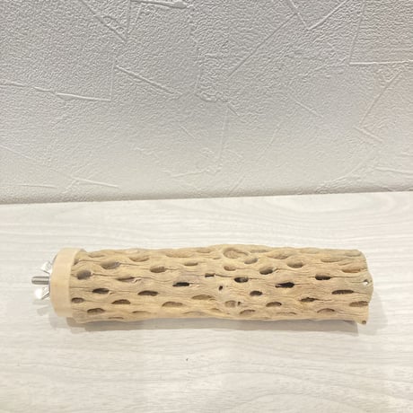 カクタスパーチ小⑭ 直径約3~4cm 長さ15cm