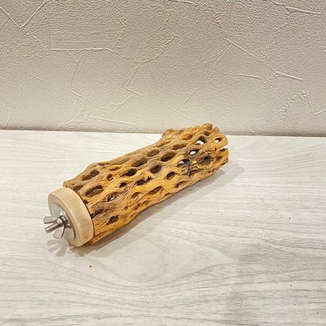 カクタスパーチ【B】直径4~5cm/長さ15cm