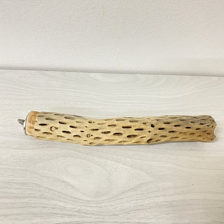 カクタスパーチ② 小サイズ 直径（約3-4cm）長さ/22cm