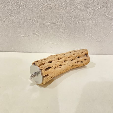 カクタスパーチ(E) 直径約4.5cm/長さ14cm