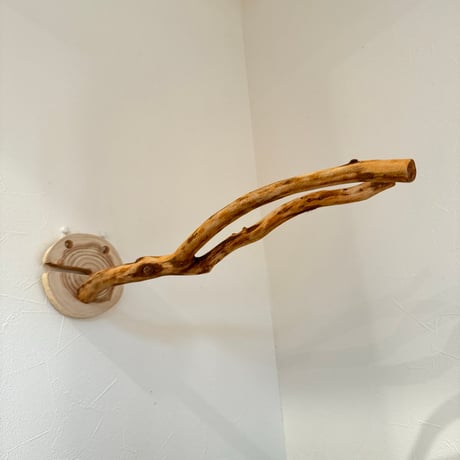 ピノキオの鼻 ②
