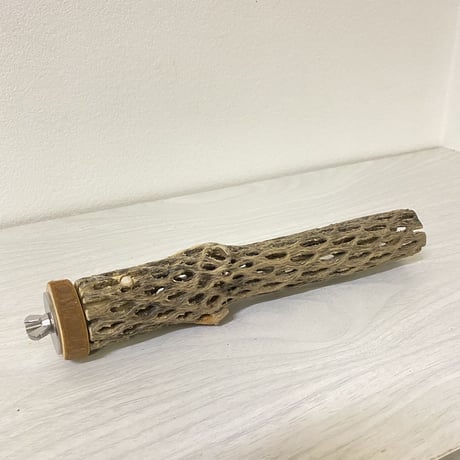 カクタスパーチ⑭ 極小サイズ 直径（約2-3cm）長さ/20cm