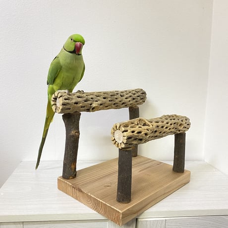 カクタススタンドパーチ 中型さん用