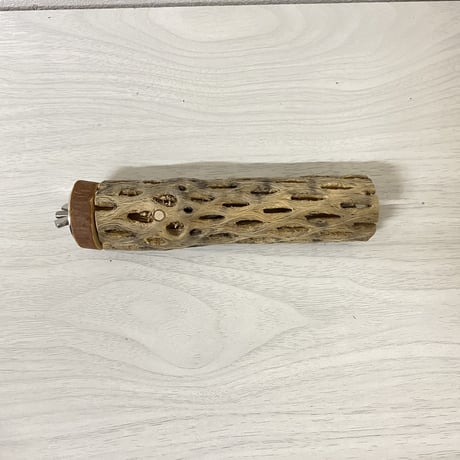 カクタスパーチ① 小サイズ 直径（約3-4cm）長さ/14cm