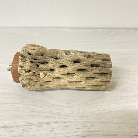 カクタスパーチ 中サイズ② 直径（約5.5cm）長さ/10cm