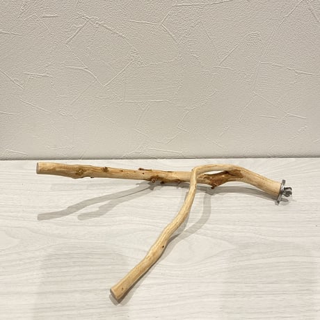 自然木（カイヅカイブキ）のパーチ② 　直径0.8～1.8cm／長さ30cm