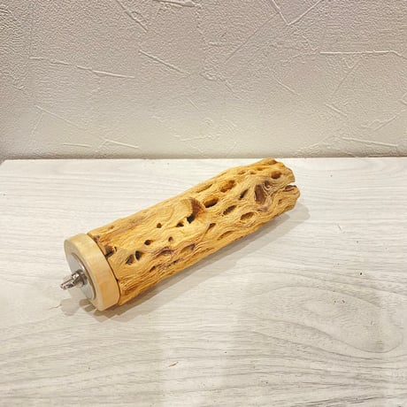 カクタスパーチ【22】直径4~5cm/長さ15cm