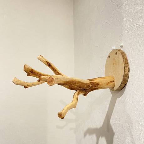 ピノキオの鼻 ②