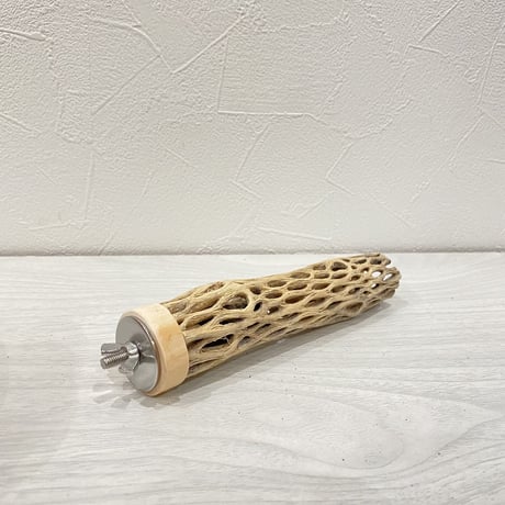 カクタスパーチ⑫ 極小直径約2-3cm/15cm