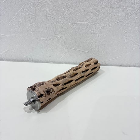 カクタスパーチ極小サイズ⑥ 直径約2.7cm/長さ15cm【自然木 止まり木 バンブルフット 趾瘤症 】