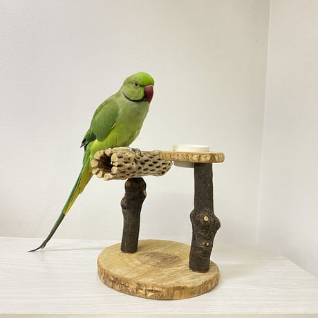 おやつ入れ付き カクタススタンドパーチ② 中型さん用