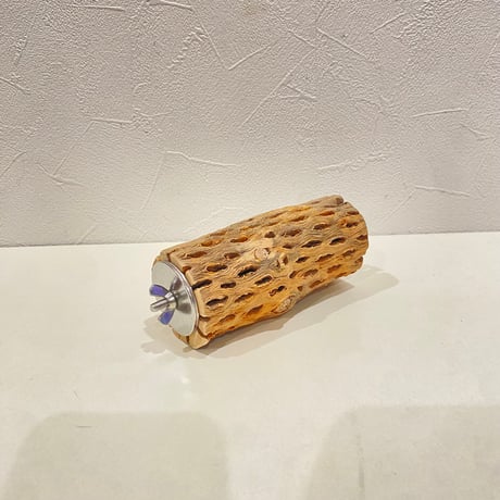カクタスパーチ③ 直径約5cm/長さ11.5cm
