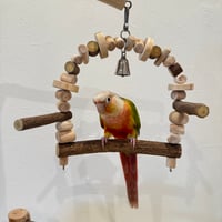 ツタとステンレスベルのブランコ②