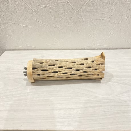 カクタスパーチ②  中 直径約5.5cm 長さ15cm