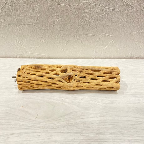 カクタスパーチ【G】直径4~5cm/長さ20cm
