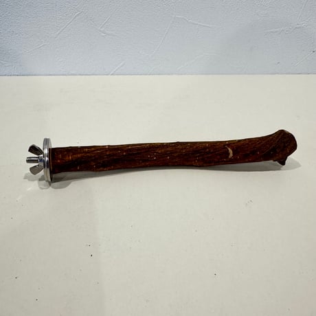 自然木（ツタ）パーチ 直径約2cm/長さ17.5cm