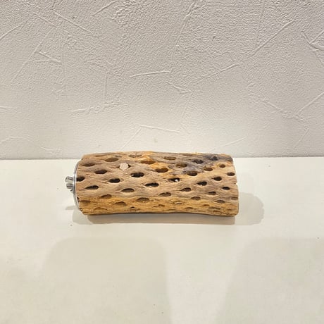 カクタスパーチ(C) 直径約4.5cm/長さ11cm