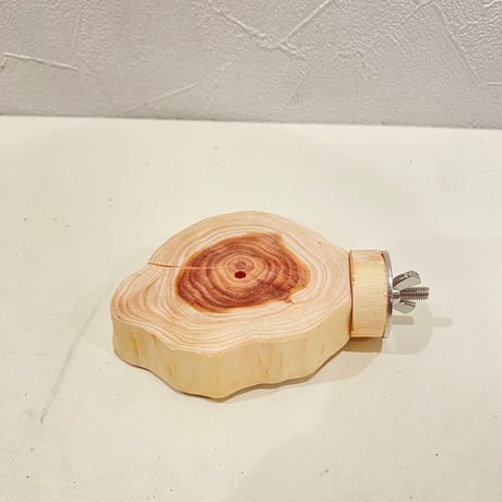 貝塚伊吹テーブルパーチ  ③