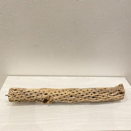 ケージサイズカクタスパーチ⑥  中サイズ（直径約5.5cm）HOEI465