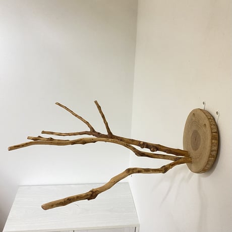 ピノキオの鼻 ① 小型の鳥さん用