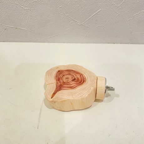 貝塚伊吹テーブルパーチ