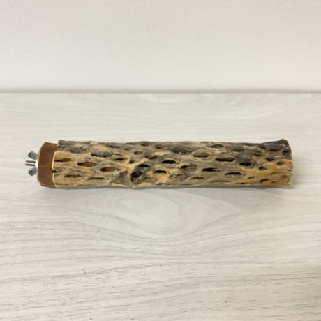 カクタスパーチ⑧ 小サイズ 直径（約3-4cm）長さ/20cm