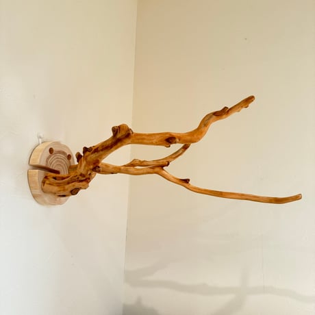 ピノキオの鼻 ⑦お鼻2本