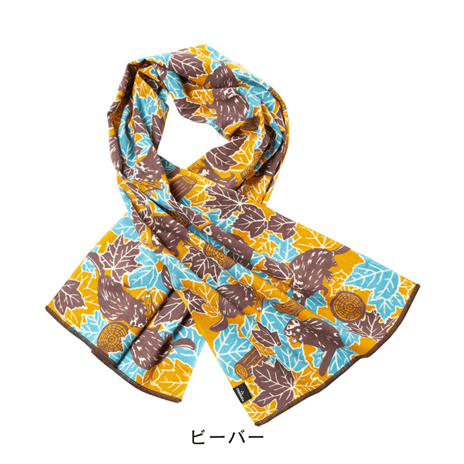 64f6dd4700d7d50032cb6fc8