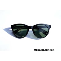 【FLOAT】MESA