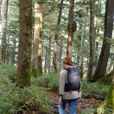 【MOUNTAIN DAISY PRODUCTS】 Hike Border NAGASODE Tee