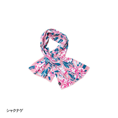【CHAORAS】スポーツてぬぐい