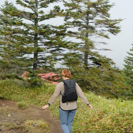 【MOUNTAIN DAISY PRODUCTS】 Hike Border NAGASODE Tee