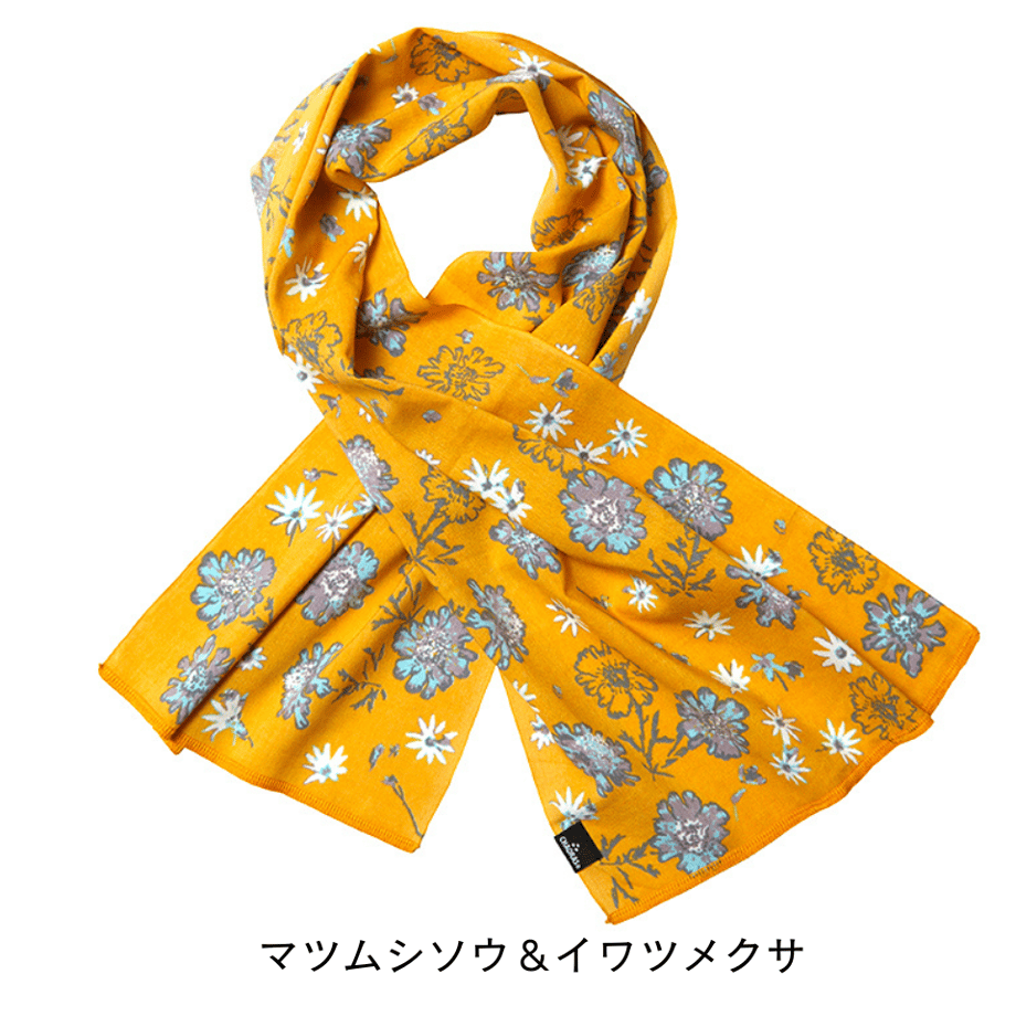 64f6dd4700d7d50032cb6fc8