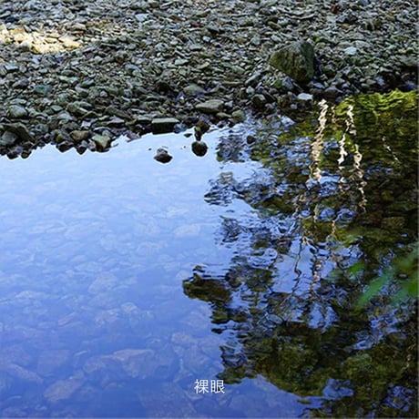 【FLOAT】LONE PINE