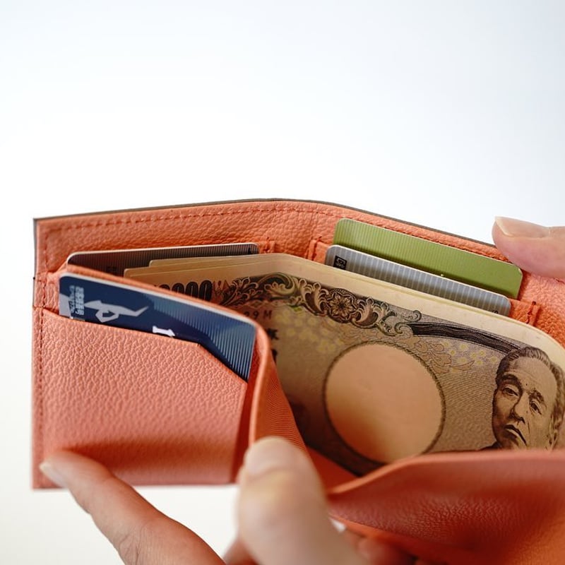 RawLow Mountain Works 】—Hillary Wallet—TRIFOLD RawLow Mountain Works 】—Hillary Wallet—TRIFOLD