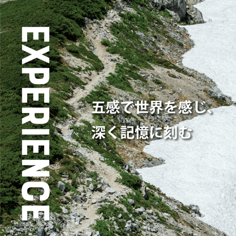 【PAAGO WORKS】 ZENN 35 EXP　パーゴワークス ゼン35 EXP