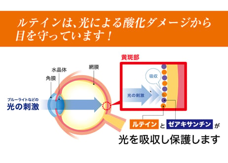 ルテインのちからプラス　定期お届けサービス