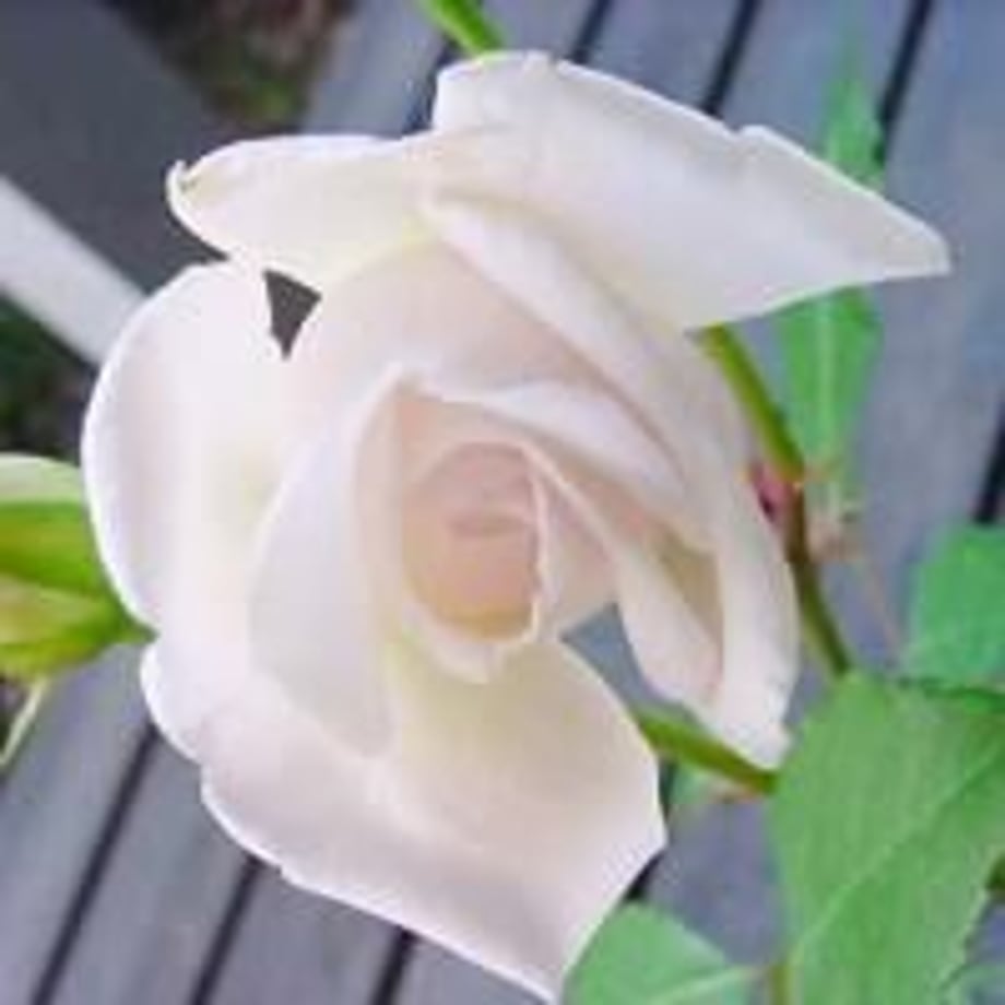 609e89f21945c72041782373