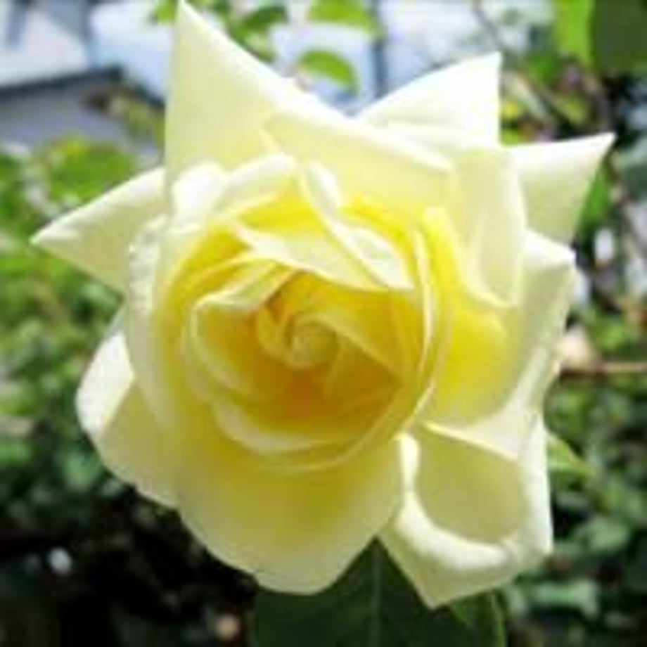 609e7c5f9a5b75076abffe1f
