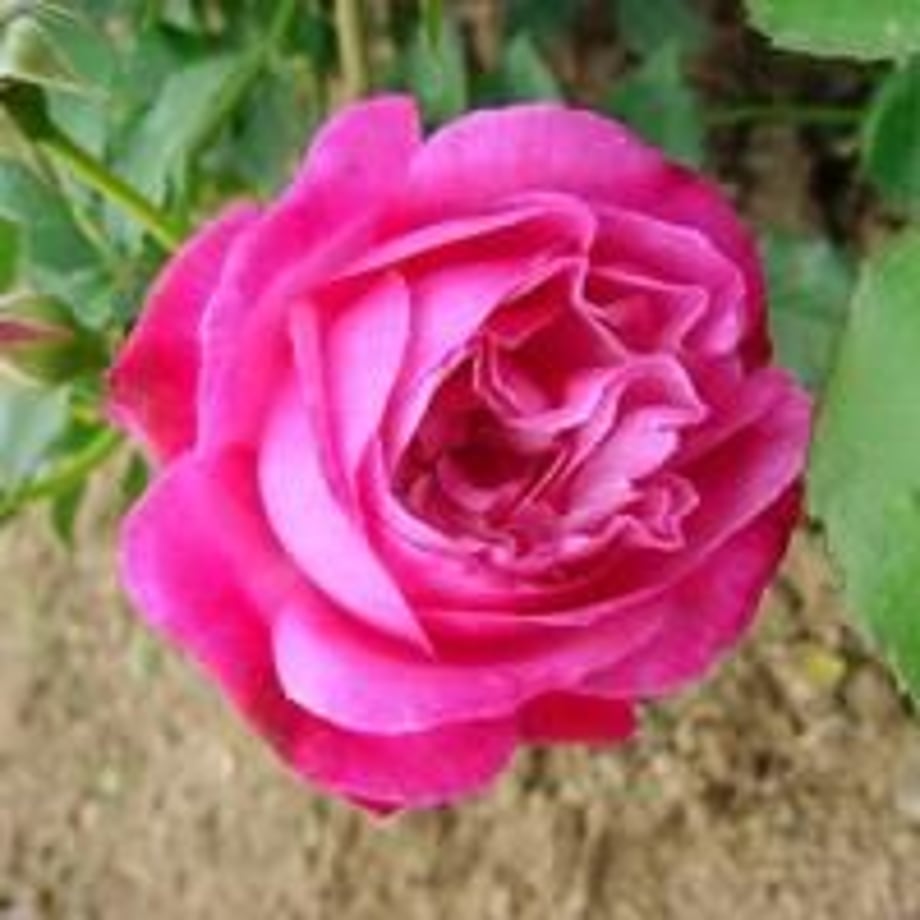 609e9ffc8899be35ebbaa9b8